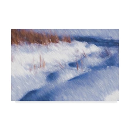 Anthony Paladino 'Winter Little Snow Mounds' Canvas Art,12x19